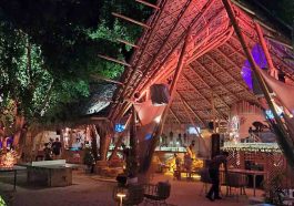 Halfmoon Festival 2025